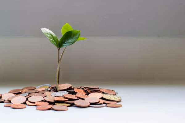 Revenue Growth